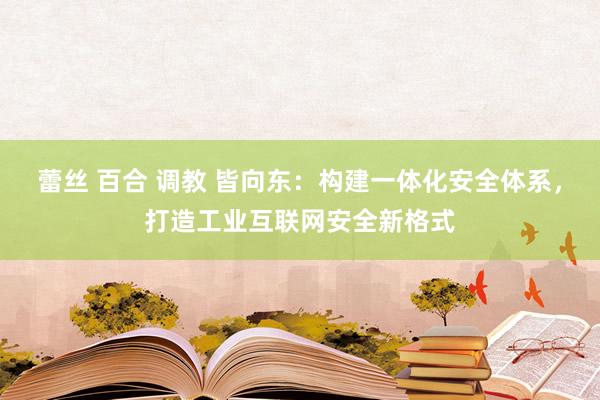 蕾丝 百合 调教 皆向东：构建一体化安全体系，打造工业互联网安全新格式