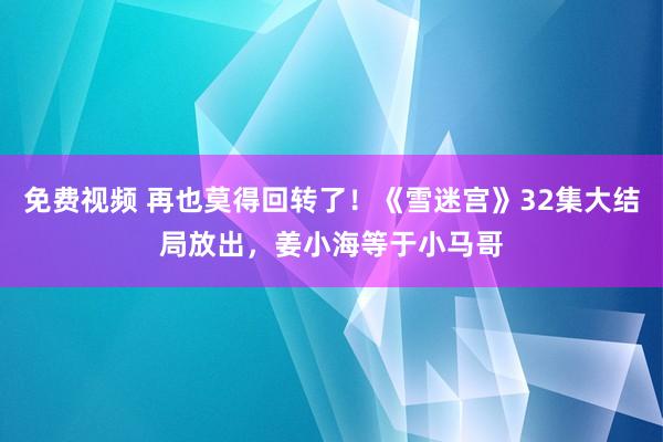 免费视频 再也莫得回转了！《雪迷宫》32集大结局放出，姜小海等于小马哥