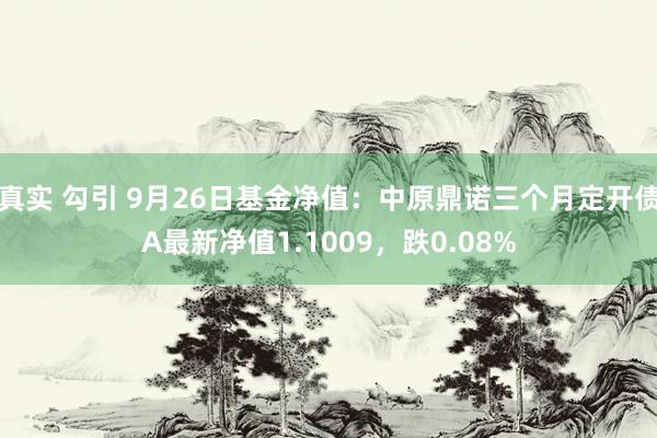 真实 勾引 9月26日基金净值：中原鼎诺三个月定开债A最新净值1.1009，跌0.08%