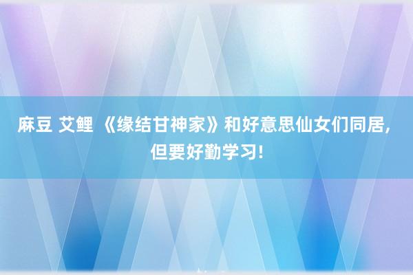 麻豆 艾鲤 《缘结甘神家》和好意思仙女们同居， 但要好勤学习!