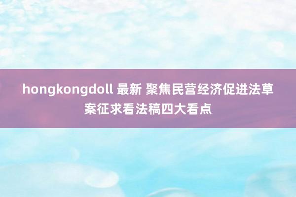 hongkongdoll 最新 聚焦民营经济促进法草案征求看法稿四大看点