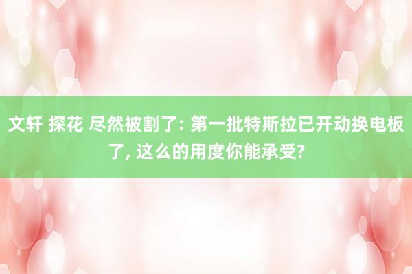 文轩 探花 尽然被割了: 第一批特斯拉已开动换电板了， 这么的用度你能承受?