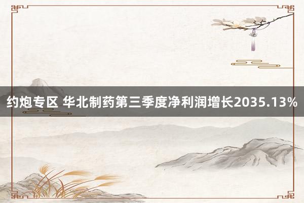 约炮专区 华北制药第三季度净利润增长2035.13%