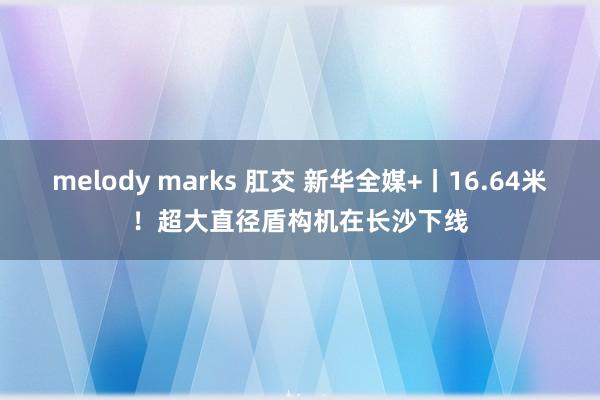 melody marks 肛交 新华全媒+丨16.64米！超大直径盾构机在长沙下线