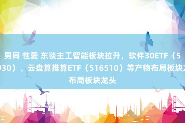 男同 性愛 东谈主工智能板块拉升，软件30ETF（562930）、云盘算推算ETF（516510）等产物布局板块龙头