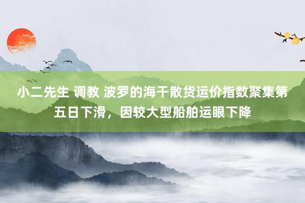 小二先生 调教 波罗的海干散货运价指数聚集第五日下滑，因较大型船舶运眼下降
