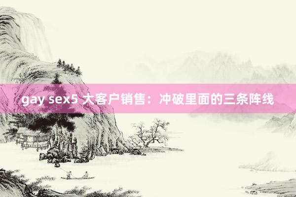 gay sex5 大客户销售：冲破里面的三条阵线