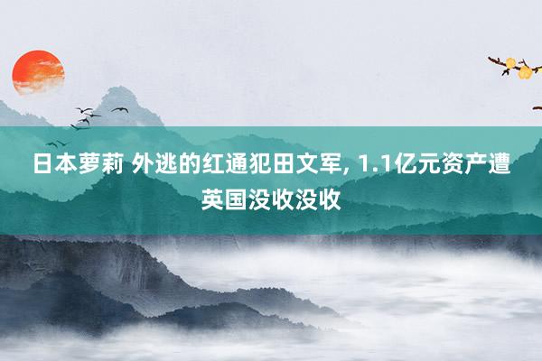 日本萝莉 外逃的红通犯田文军， 1.1亿元资产遭英国没收没收