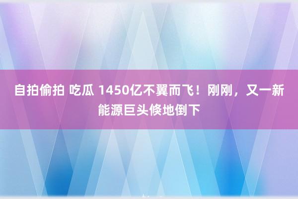 自拍偷拍 吃瓜 1450亿不翼而飞！刚刚，又一新能源巨头倏地倒下