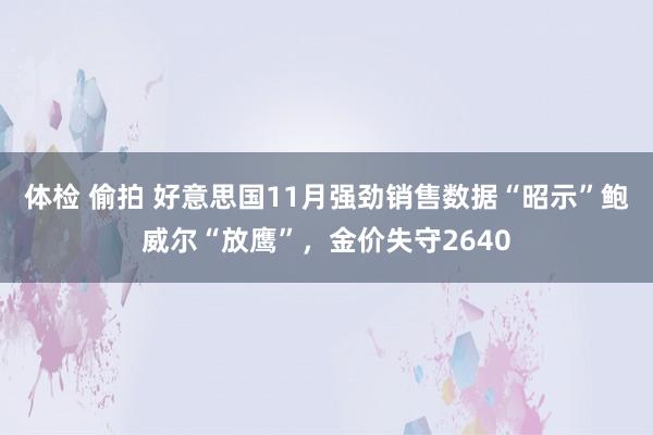 体检 偷拍 好意思国11月强劲销售数据“昭示”鲍威尔“放鹰”，金价失守2640