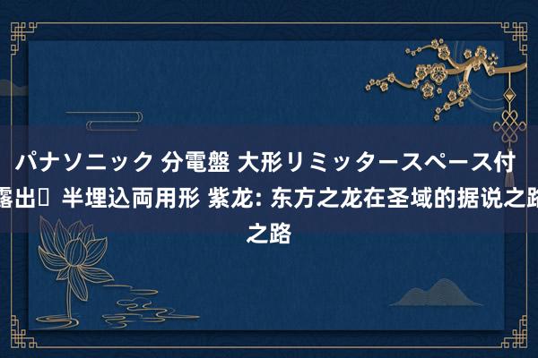 パナソニック 分電盤 大形リミッタースペース付 露出・半埋込両用形 紫龙: 东方之龙在圣域的据说之路