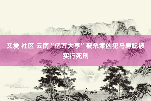 文爱 社区 云南“亿万大亨”被杀案凶犯马寿聪被实行死刑