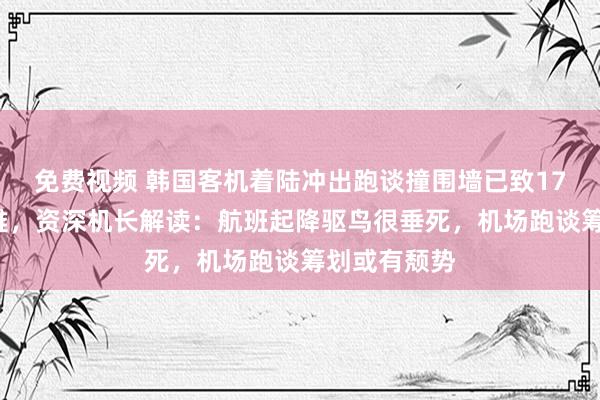 免费视频 韩国客机着陆冲出跑谈撞围墙已致179东谈主受难，资深机长解读：航班起降驱鸟很垂死，机场跑谈筹划或有颓势