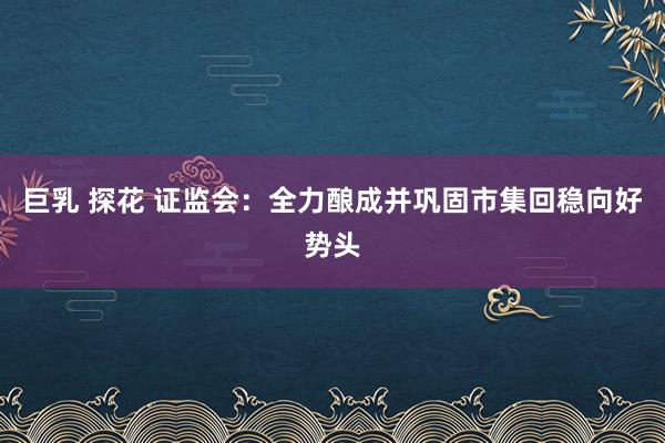 巨乳 探花 证监会：全力酿成并巩固市集回稳向好势头